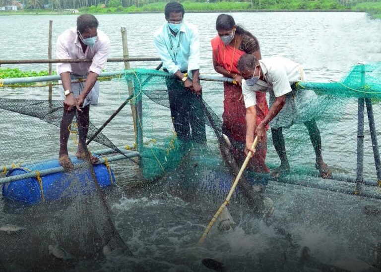 അക്വാകള്‍ച്ചര്‍ പരിശീലനത്തിന് അപേക്ഷിക്കാം