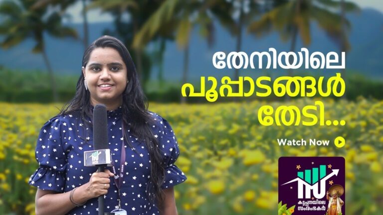 തേനിയിലെ പൂപ്പാടങ്ങള്‍ തേടി…