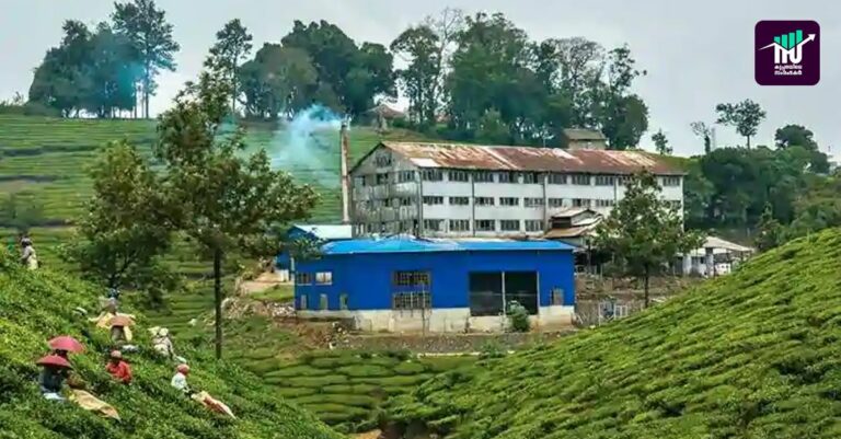 പീരുമേട് ടീ കമ്പനി തൊഴിലാളികള്‍ക്ക് ഒരുമാസത്തിനകം 8.9 കോടി നല്‍കണം: കോടതി