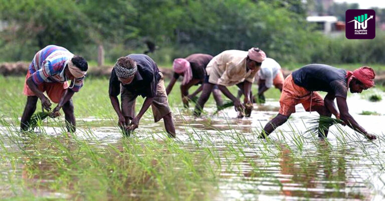 <em></noscript>കര്‍ഷകര്‍ക്ക് ഓണ്‍ലൈന്‍ വിപണന അവസരം</em>