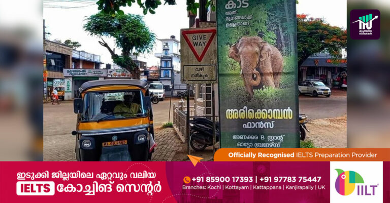 അരിക്കൊമ്പന് അണക്കരയിലും ഫാന്‍സ് അസോസിയേഷന്‍