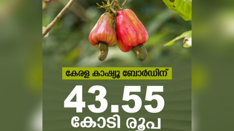 കാഷ്യൂ ബോർഡിന് 43.55 കോടി